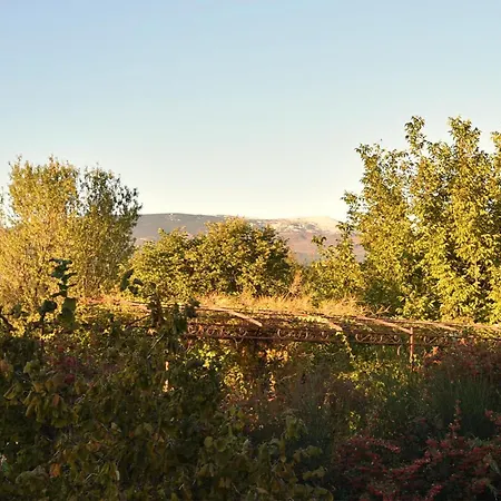Lovely In Holiday home *